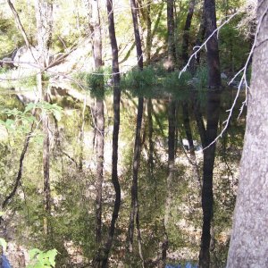 Looking into my favorite fishing hole, side view (South to North)