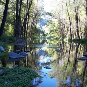 Looking up stream at my favorite fishing hole (East to West)