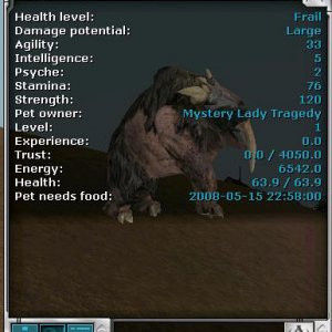 pet1