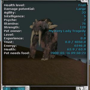 pet2
