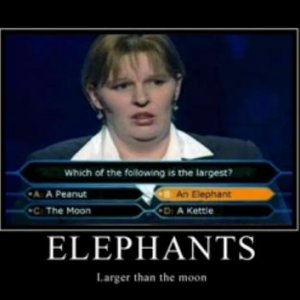 elefant

EPIC FAIL!