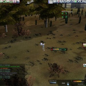 support SCREENSHOT 20081223015016031