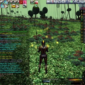 Entropia 2009 05 16 16 03 56 07