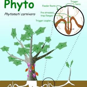 2009 Create a Critter Entry by Doer

Phyto