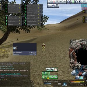 Entropia 2009/06/06 - 4.46 P.E.D. Player Kill (18)