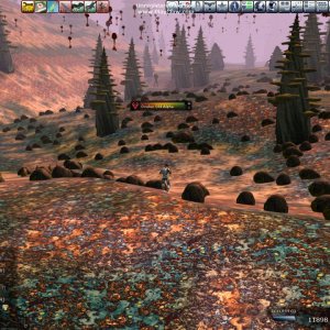 Recon North of LA 43 D