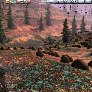 Recon North of LA 43 E