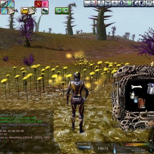 Entropia 2009 06 18 11 13 57 46