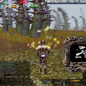 Entropia 2009 06 23 20 41 31 96