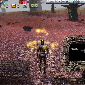 Entropia 2009 06 23 21 01 42 90