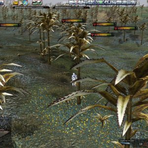 Ocu 6 25 09 S of Nates 3