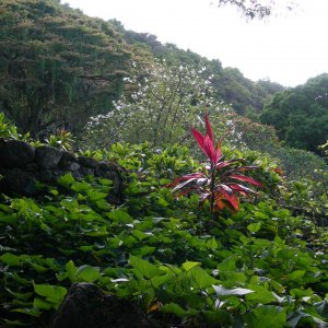 hawaii