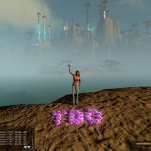 TDO island 2