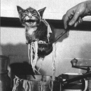 HUNGRY