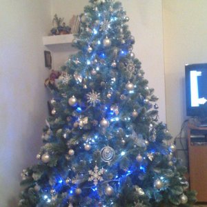 1st Christmas Tree