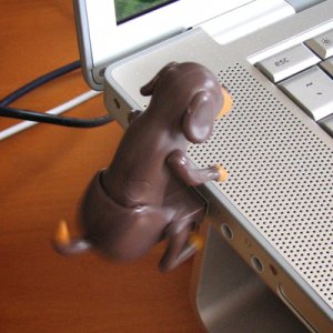 usb humpingdogs action
