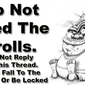 forum troll
