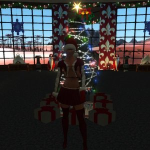 my first xmas pic at my old appt 2010