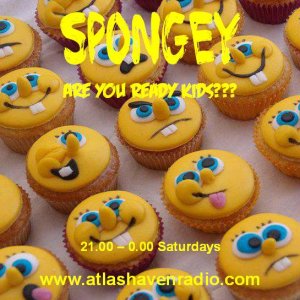 Spongeycupcake