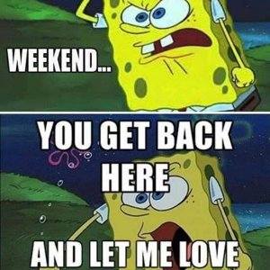 Spongey weekendn