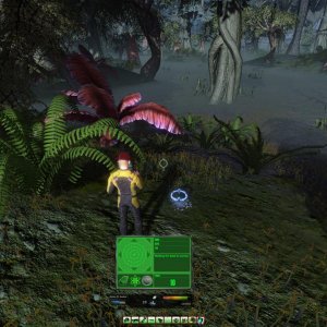 Swamp camp is mine!