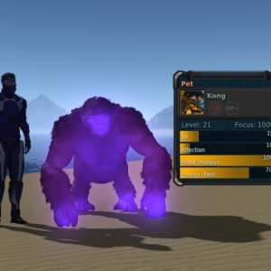 Kong