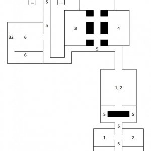 CD1
