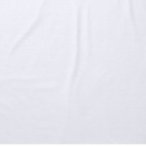 SputnikFlag450x205.jpg