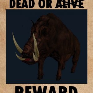 WANTED-BOAR.jpg