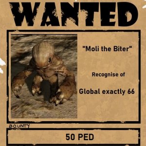 Moli the Biter.jpg