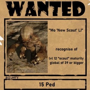 Mo New Scout Li.jpg
