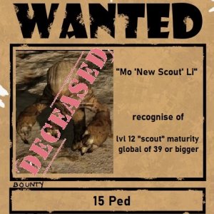 Mo New Scout Li claimed.jpg