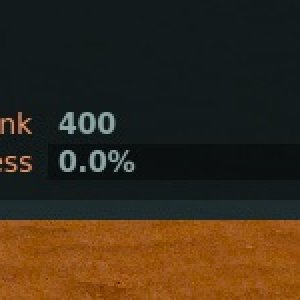 codex r 400.jpg