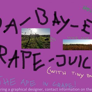 grape juicev2.jpg