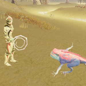 pet00.jpg