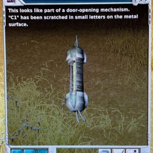 item.jpg
