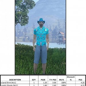island shirt jungle shorts 2.jpg