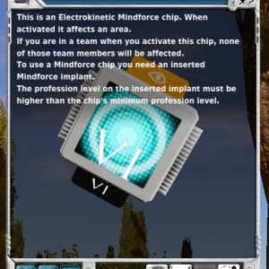 chip2.jpeg