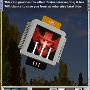 chip3.jpeg