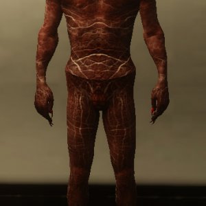 umbra 2.jpg