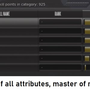 attributes.jpg