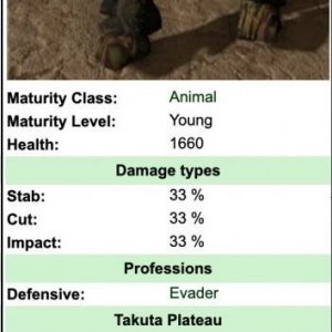 event3.jpg