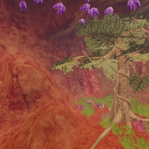 Cave of Forgotten Dreams2.jpg