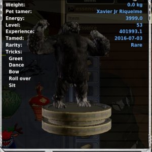 gorilla.jpg