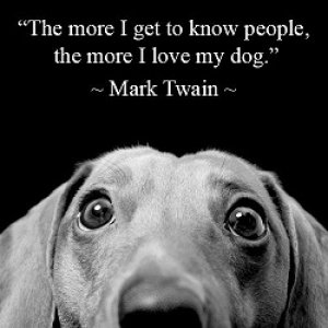 f684d0b1ba467d992d32b6296651ccf6--dog-quotes-mark-twain.jpg
