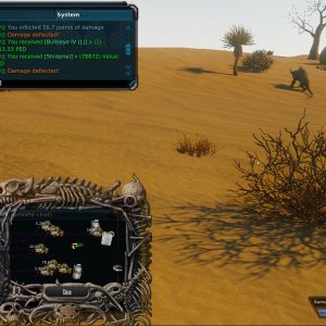 Bullseye IV.jpg