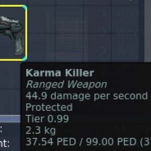 karm.jpg