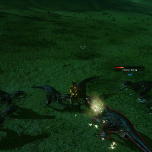Atrax.jpg