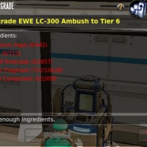 t6.jpg