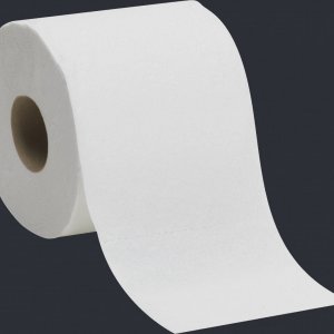 ToiletRoll.jpg